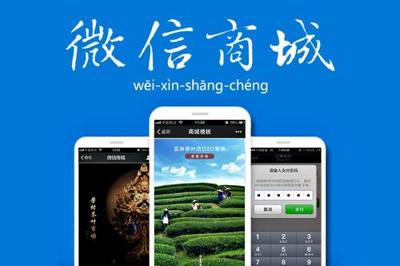 購(gòu)物商城返積分系統(tǒng)營(yíng)銷模式的定制開(kāi)發(fā)