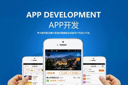 如何選擇優秀的電商APP定制開發公司與購物商城系統供應商